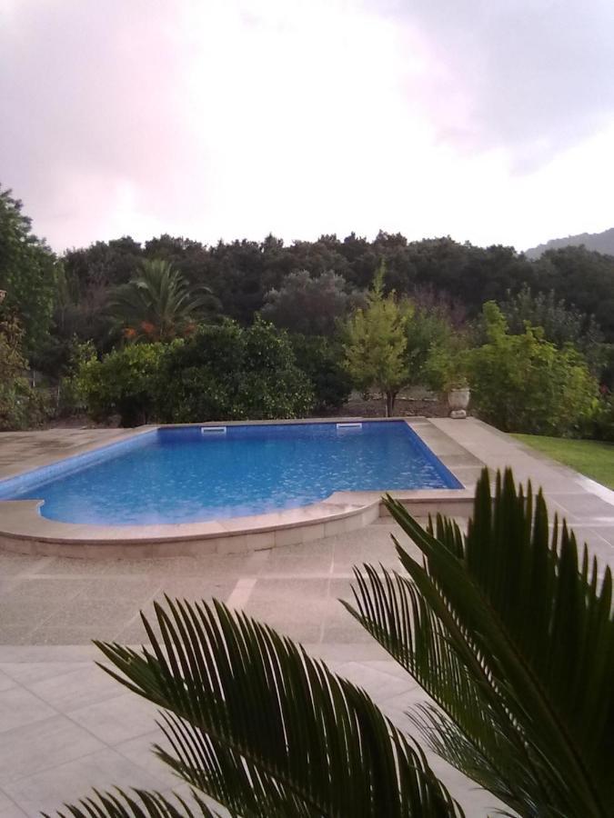 Villa Milagro - 3 Bedroom Finca Style Villa With Pool Near Golf Course/Beaches - Air Cond. Pollenca Ngoại thất bức ảnh